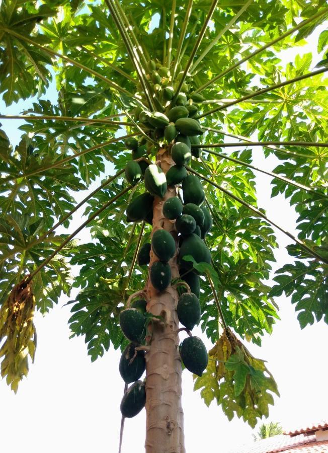 Pousada Perola Do Rio Barreirinhas Kültér fotó
